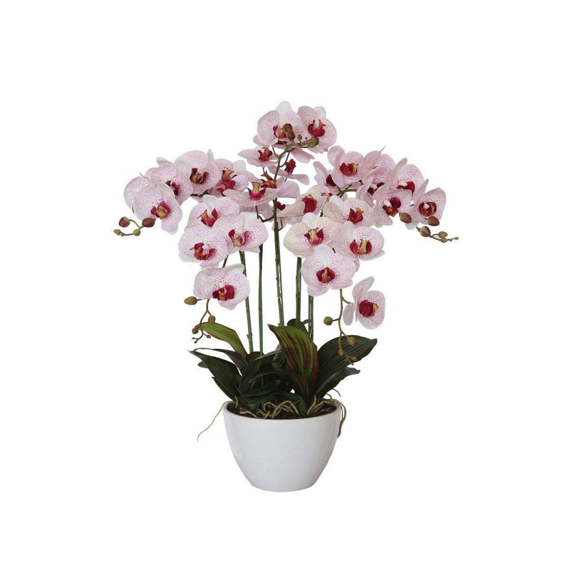66cm Multi Butterfly Orchid - Pink Payday Deals