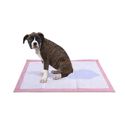 PaWz 100 Pcs 60x60 cm Pet Puppy Toilet Training Pads Absorbent Lavender Scent - Payday Deals