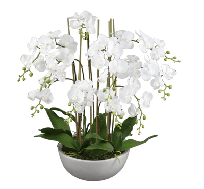 75cm Large Faux Phal Orchid with Ceramic Pot Artificial Plant Flower Tree Fake Payday Deals