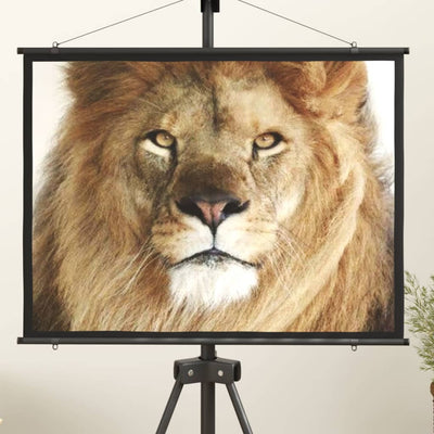 Projection Screen 127 cm 4:3