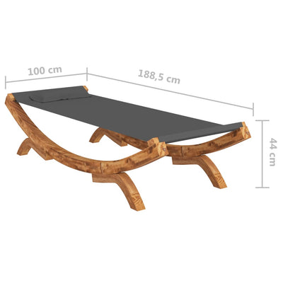 Hammock 100x188.5x44 cm Solid Bent Wood Anthracite - Payday Deals