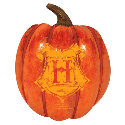 Harry Potter Halloween Foam Pumpkin Table Centrepiece Decoration