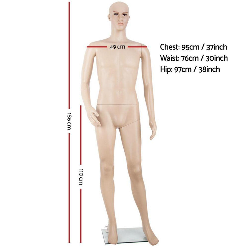 186cm Tall Full Body Male Mannequin - Skin Coloured - Payday Deals