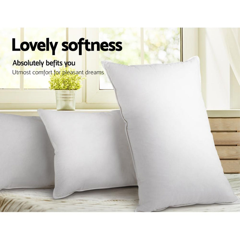 Giselle Bedding Set of 2 Goose Feather and Down Pillow - White - Payday Deals