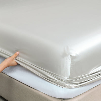 Royal Comfort Satin Sheet Set 4 Piece Fitted Flat Sheet Pillowcases  - Queen - Silver