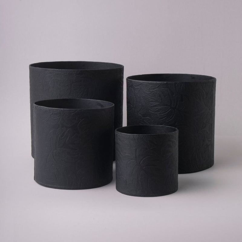 Tree Stripes Cylinder Pot Monstera - Black (Large)