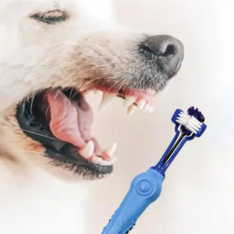 Pawfriends Pet Three-Head Multi-Angle Dog Cat Toothbrush Oral Cleaning Product Blue