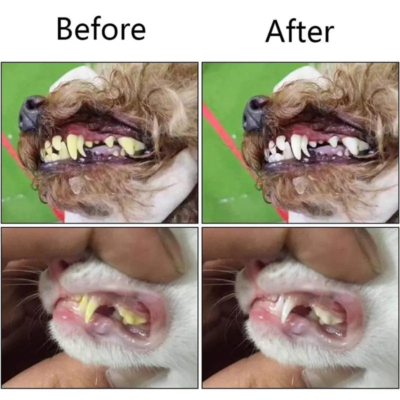 Pawfriends Pet Three-Head Multi-Angle Dog Cat Toothbrush Teeth Cleaning Oral Care
