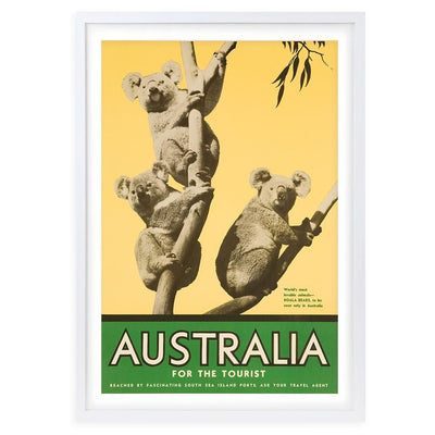 Wall Art's Australia Koalas Large 105cm x 81cm Framed A1 Art Print