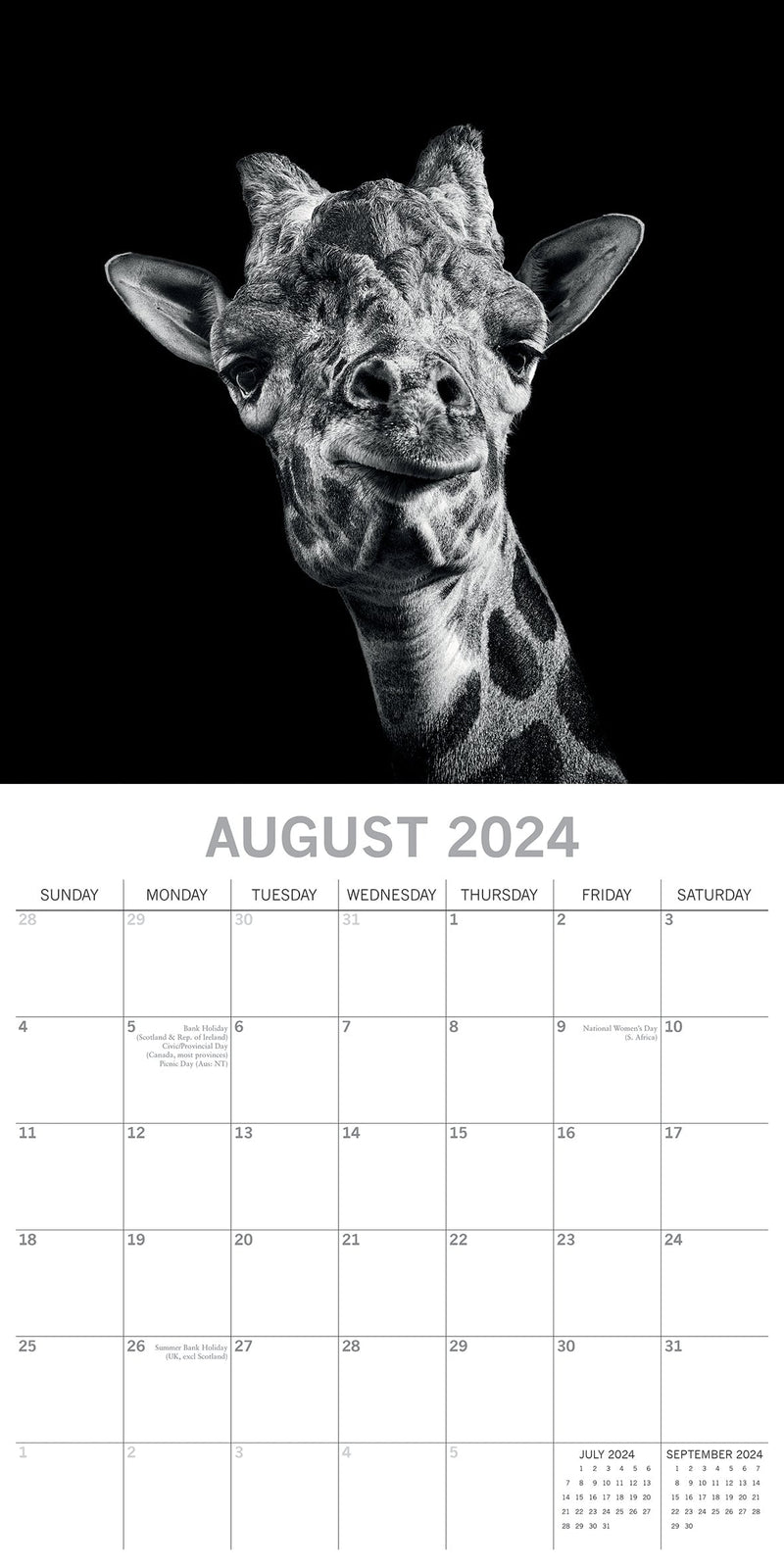 Wild Portraits - 2024 Square Wall Calendar 16 Months Black & White Planner Gift