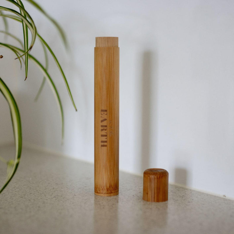 Eco-friendly Bamboo Toothbrush Travel Set