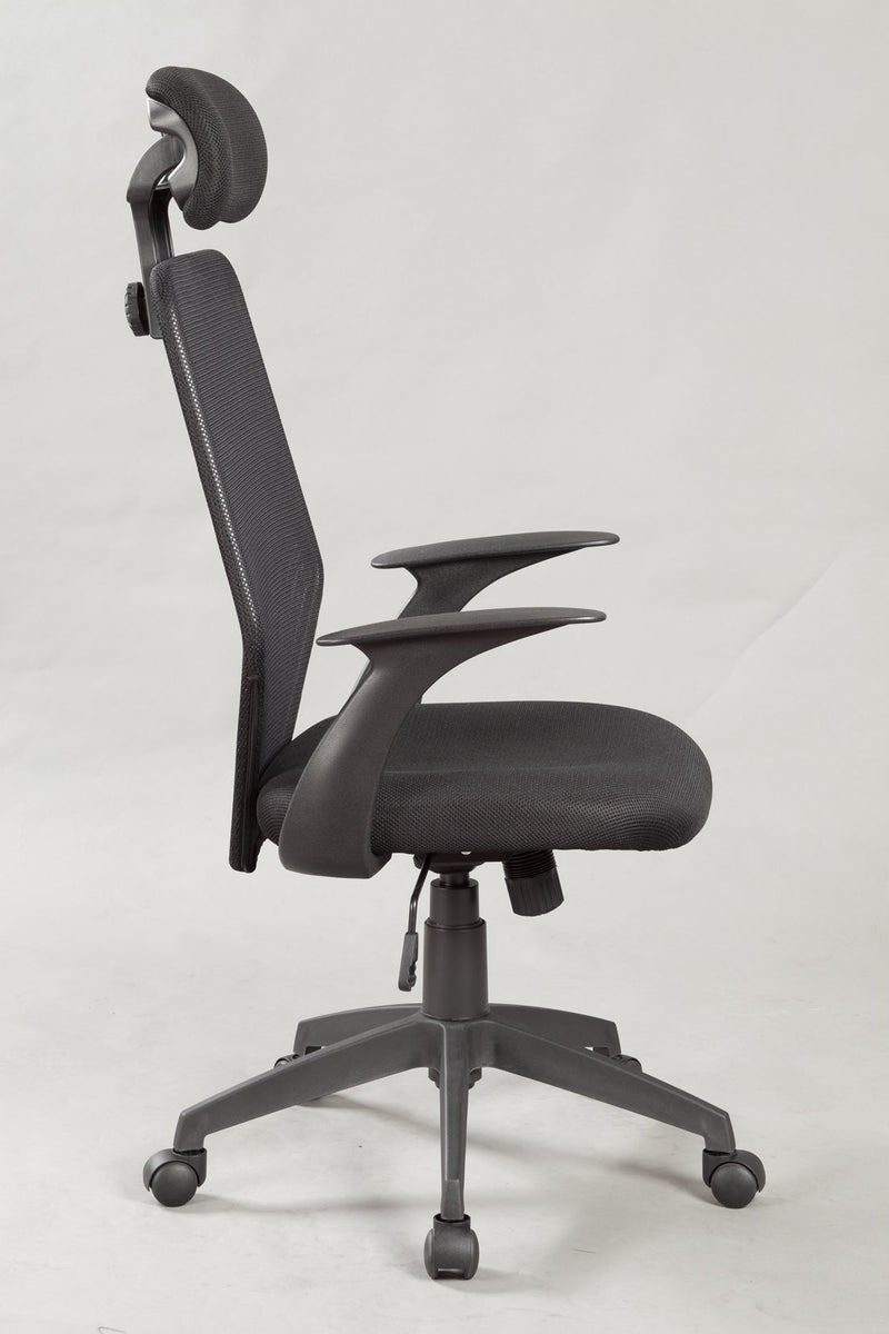 Ergonomic Mesh Office Chair - Payday Deals
