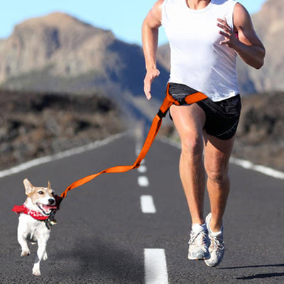 Adjustable Dog Hands Free Leash Waist Belt Buddy Jogging Walking Running Orange Payday Deals