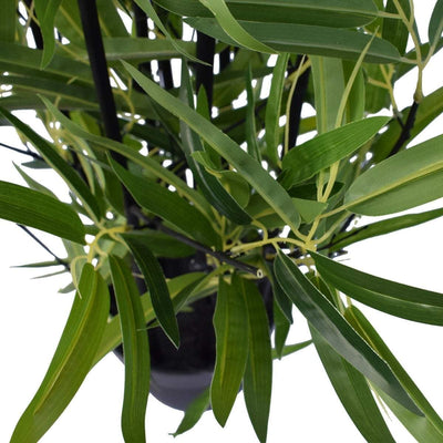 Artificial Bamboo Black Bamboo 160cm Real Touch Leaves Payday Deals