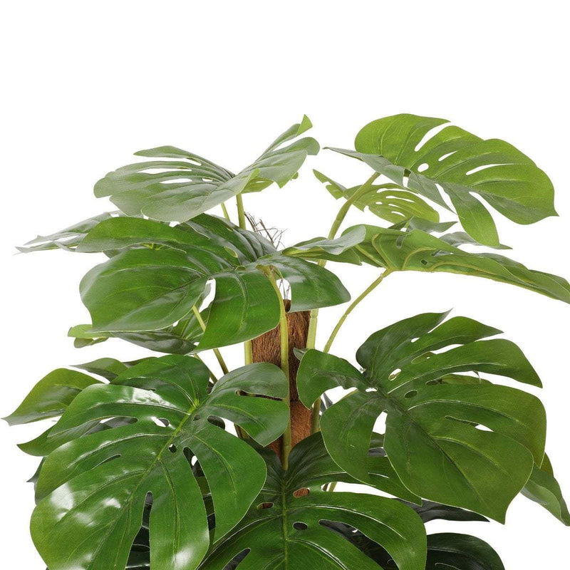 Artificial Money Plant (Monstera) with decorative pot 180cm Payday Deals