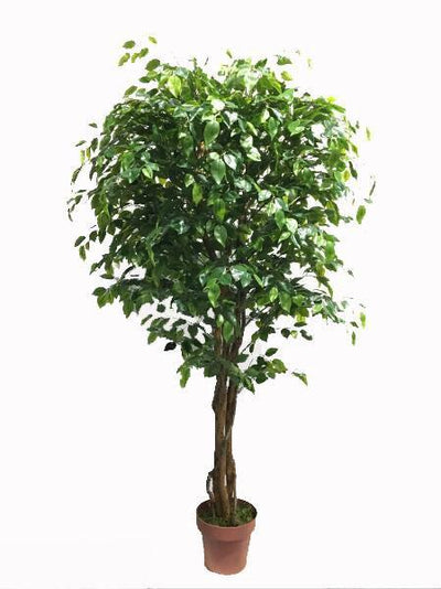Artificial Rounded Ficus Tree 170cm