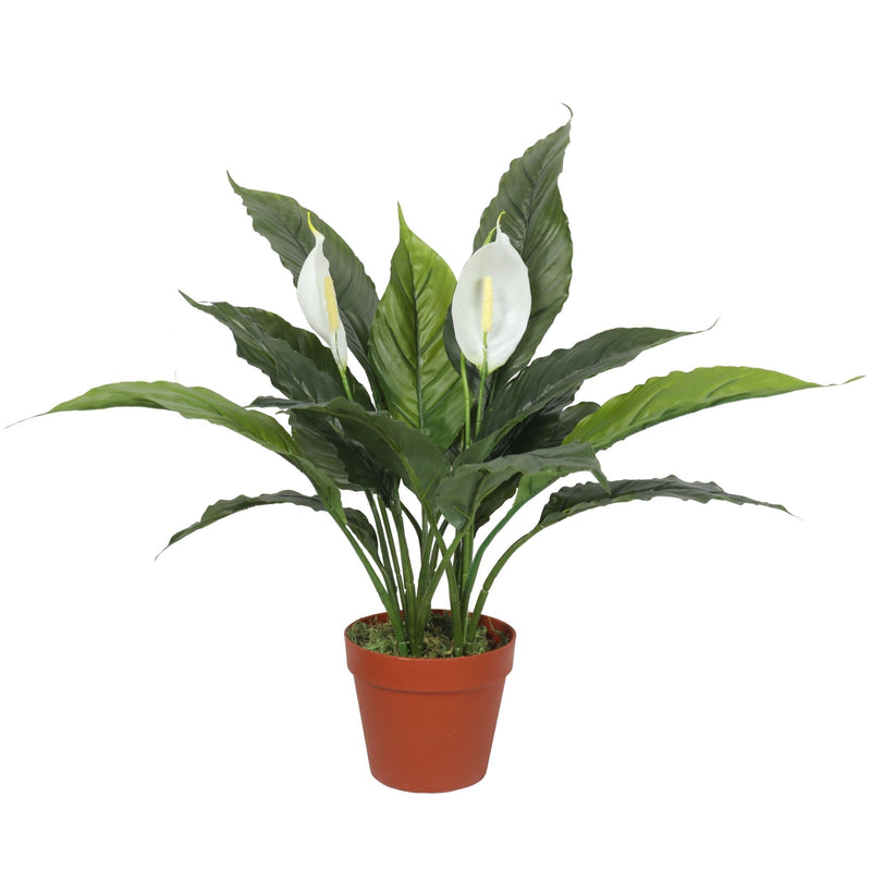 Artificial Spathiphyllum Peace Lily Plant with White Flowers 60cm Payday Deals