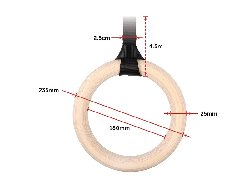 Birch Wood Gymnastic Rings Payday Deals