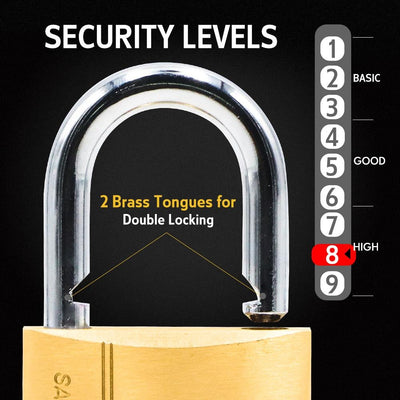 BLOSSOM PADLOCK BRASS HEAVY DUTY 60MM Payday Deals