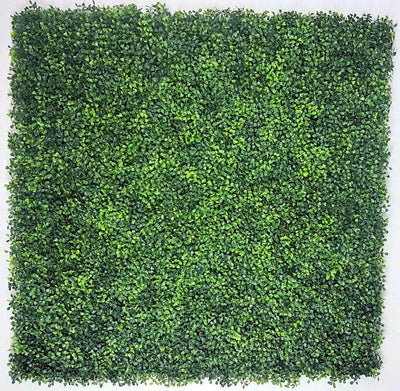 Mixed Boxwood Hedge Panels / Screens UV Resistant 1m x 1m Payday Deals