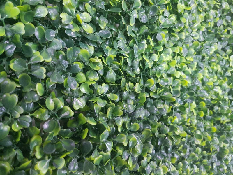 Mixed Boxwood Hedge Panels / Screens UV Resistant 1m x 1m Payday Deals