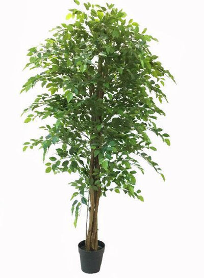 Artificial Bushy Ficus Tree 180cm