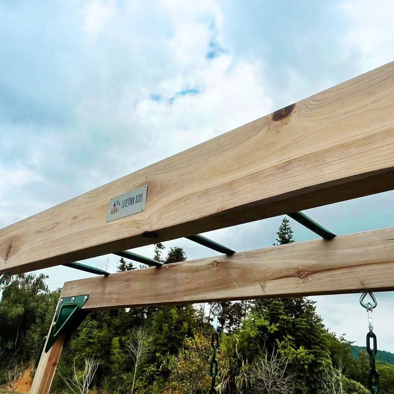 Daintree 2-in-1 Monkey Bars & Swing Set Payday Deals