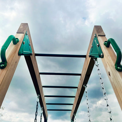 Daintree 2-in-1 Monkey Bars & Swing Set Payday Deals