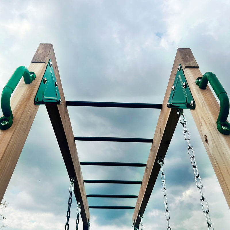 Daintree 2-in-1 Monkey Bars & Swing Set Payday Deals