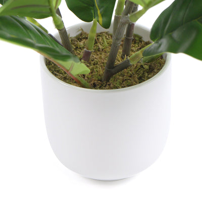 Decorative Potted Dense Artificial Fiddle Leaf Fig In Beautiful Decorative Bowl 37cm Payday Deals