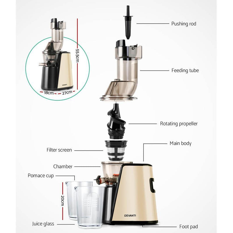 Cold Press Slow Juicer Gold Payday Deals