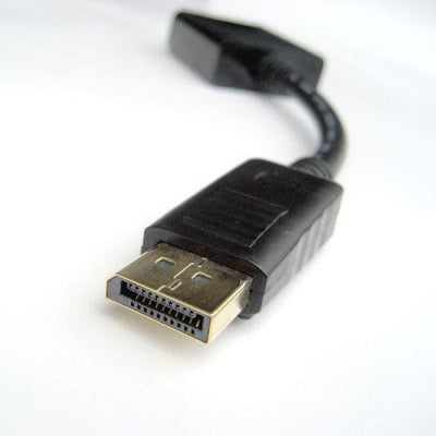 Display Port DisplayPort DP male to DVI Female Adapter Converter Cable Payday Deals