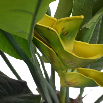 Banana Palm Tree 140cm