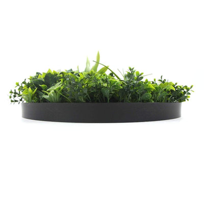 Flowering White Artificial Green Wall Disc UV Resistant 50cm (Black Frame) Payday Deals
