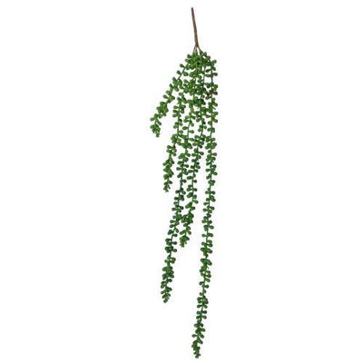 Hanging Succulent String of Pearl Beads 75cm Payday Deals