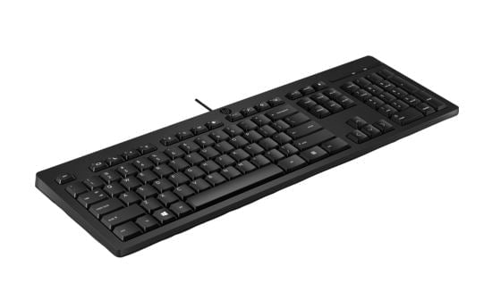 HP 125 Wired Keyboard - Compatible with Windows 10, Desktop PC, Laptop, Notebook USB Plug and Play Connectivity, Easy Cleaning (266C9AA) Payday Deals