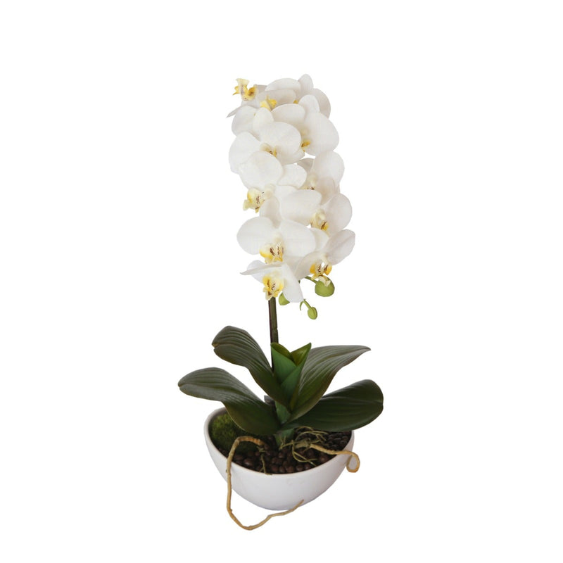 46cm Butterfly Orchid - White - Payday Deals
