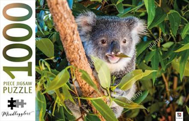 Koala Australia - Mindbogglers 1000 Piece Puzzle Payday Deals