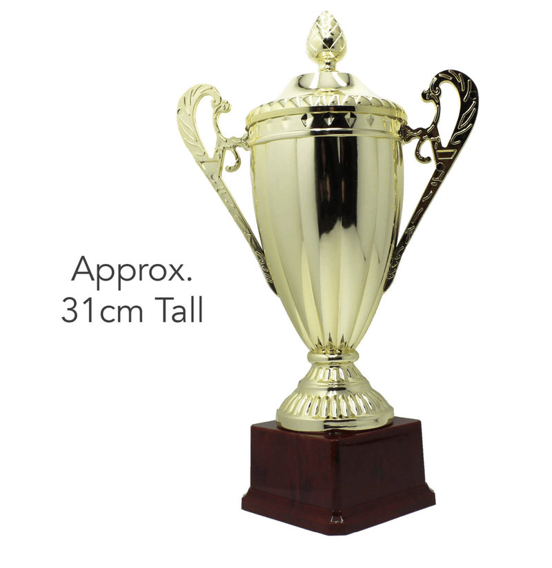Large Classic Gold Trophy Cup Novelty Winners Prize Solid Achievement Award Payday Deals