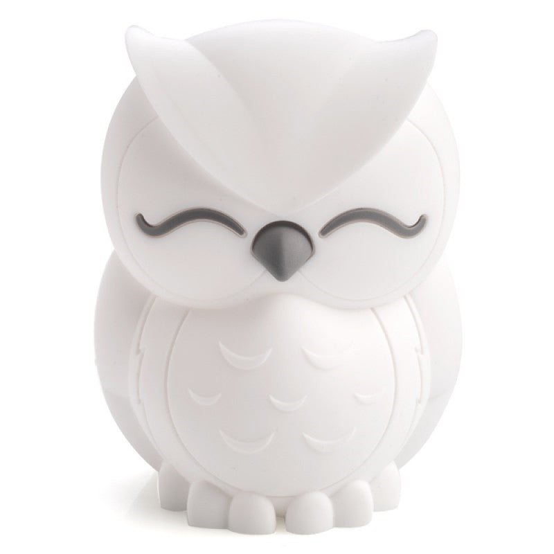 Lil Dreamers Owl Soft Touch LED Light Payday Deals