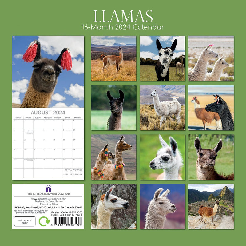 Llamas - 2024 Square Wall Calendar Pets Animals 16 Months New Year Planner Gift Payday Deals