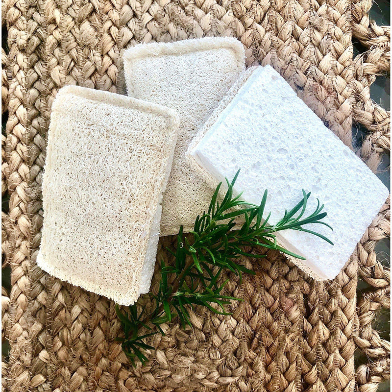 Natural Loofah Cellulose Sponges (Pack of 3) | Eco Cleaning Payday Deals