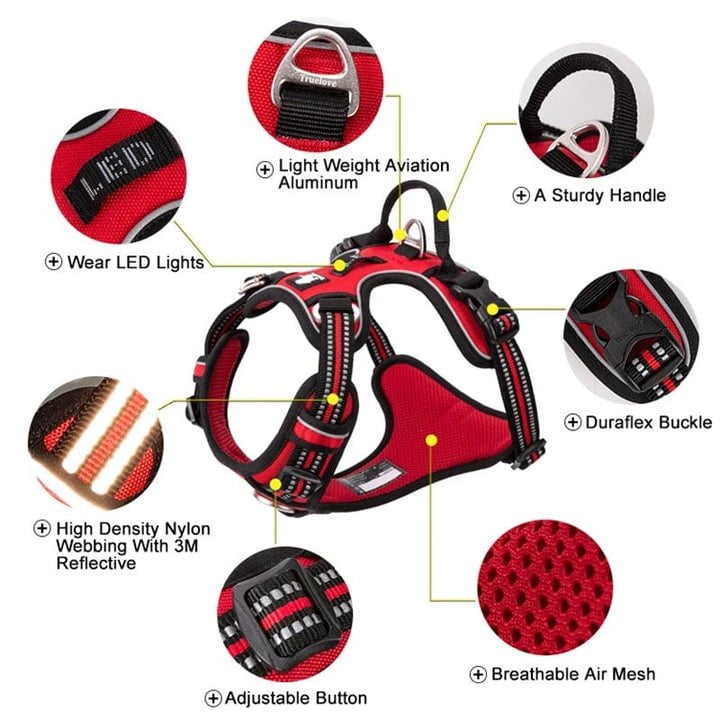 No Pull Harness Red L Payday Deals