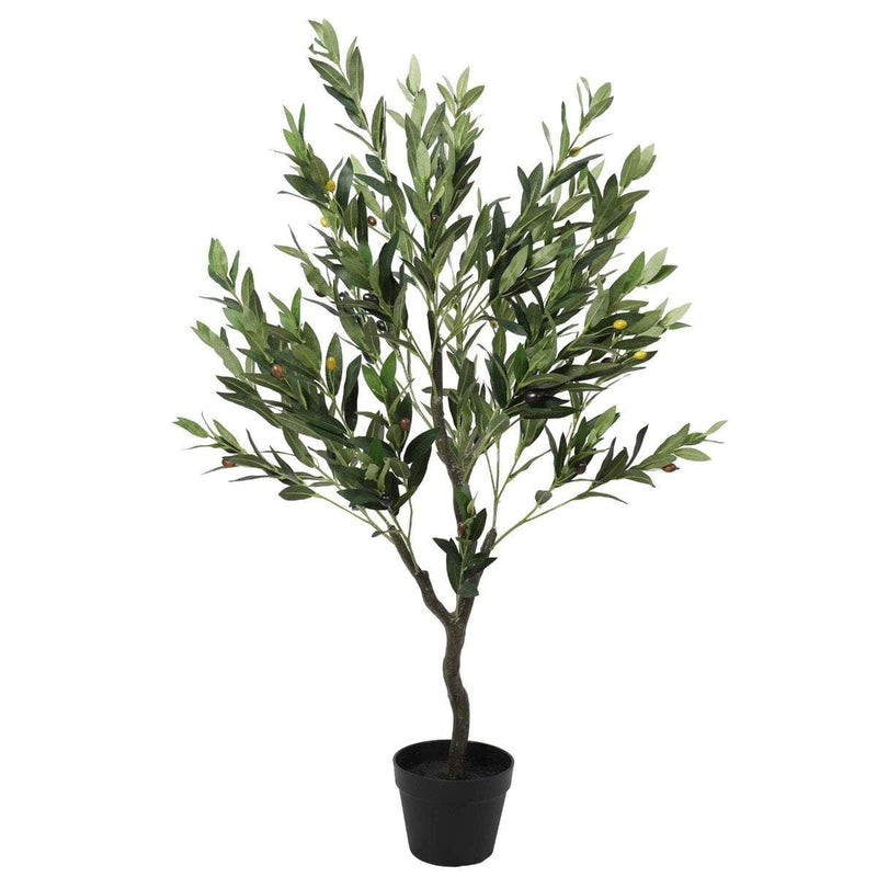 Olive Tree with Olives 125cm