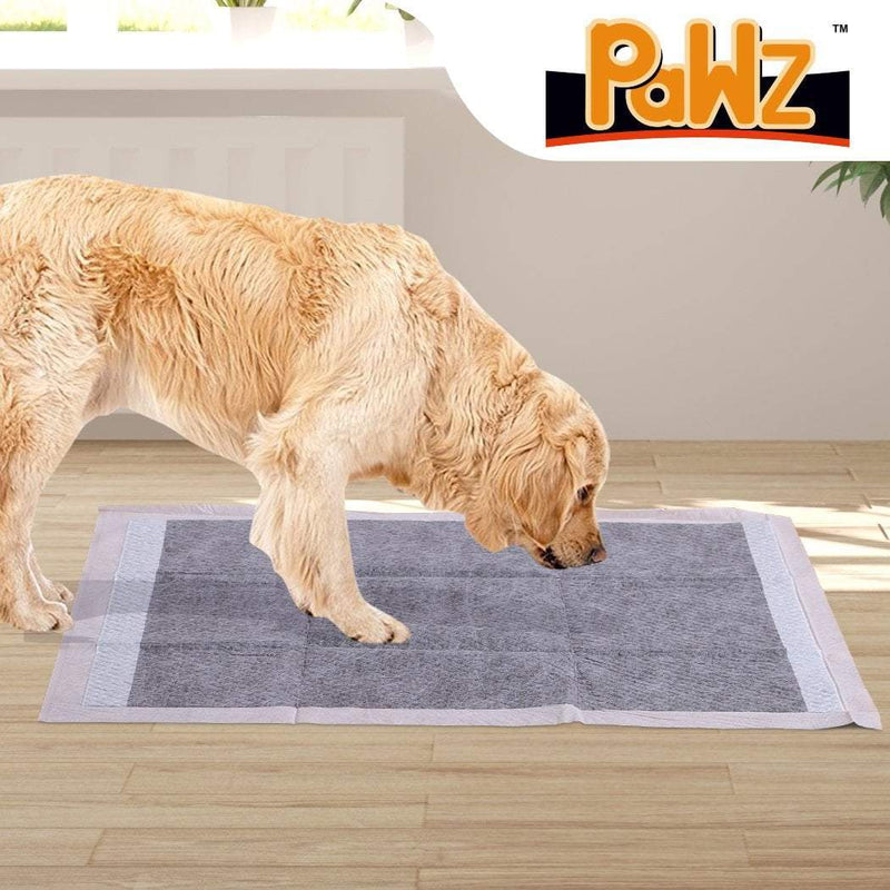 PaWz 100 Pcs 60x60cm Charcoal Pet Puppy Dog Toilet Training Pads Ultra Absorbent Payday Deals