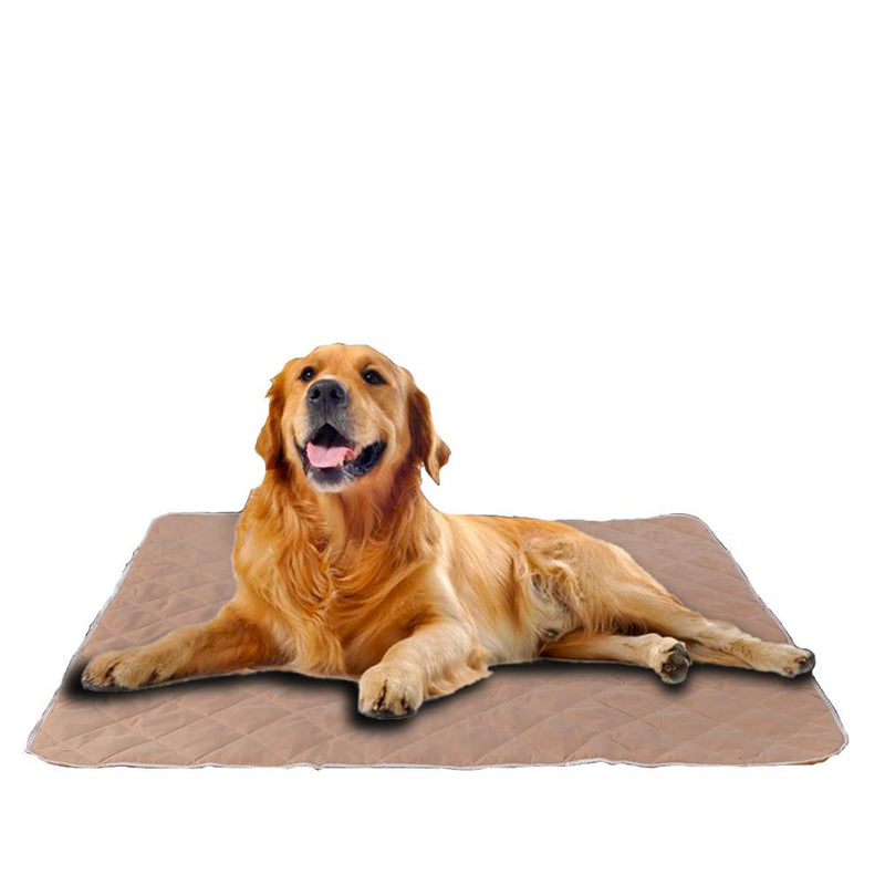 PaWz 2 Pcs 120x180 cm Reusable Waterproof Pet Puppy Toilet Training Pads Payday Deals