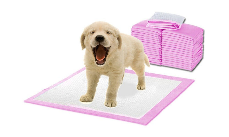 PaWz 400pc 60x60cm Puppy Pet Dog Indoor Cat Toilet Training Pads Absorbent Pink Payday Deals
