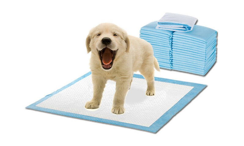 PaWz 400pcs 60x60cm Puppy Pet Dog Indoor Cat Toilet Training Pads Absorbent New Payday Deals