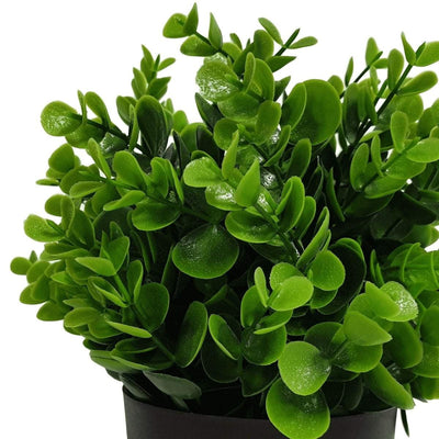 Small Potted Artificial Peperomia Plant UV Resistant 20cm Payday Deals