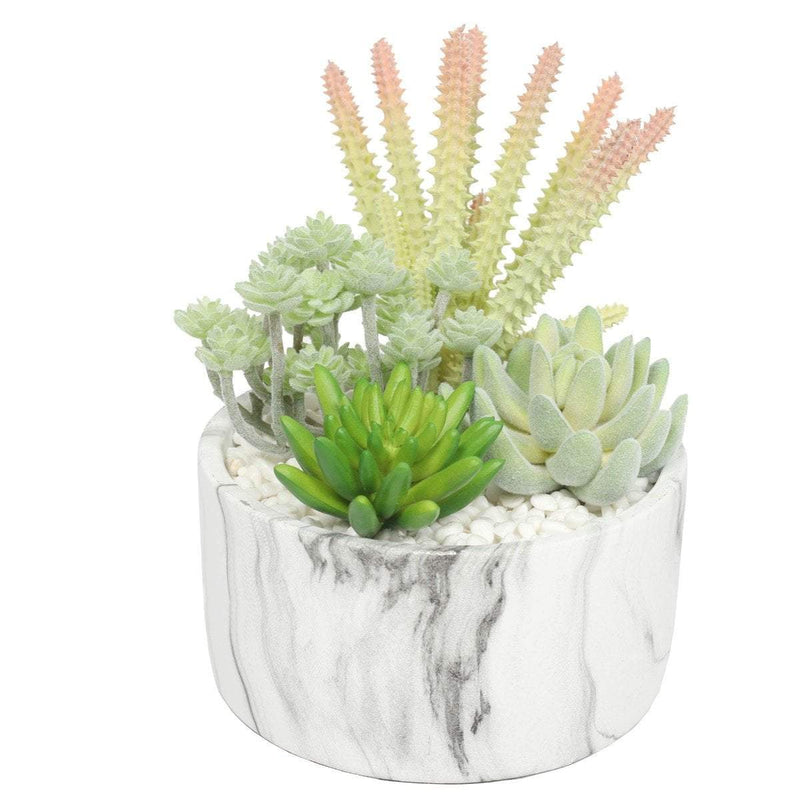 Potted Artificial Succulent Bowl with Marble Pot 20.5cm - Payday Deals